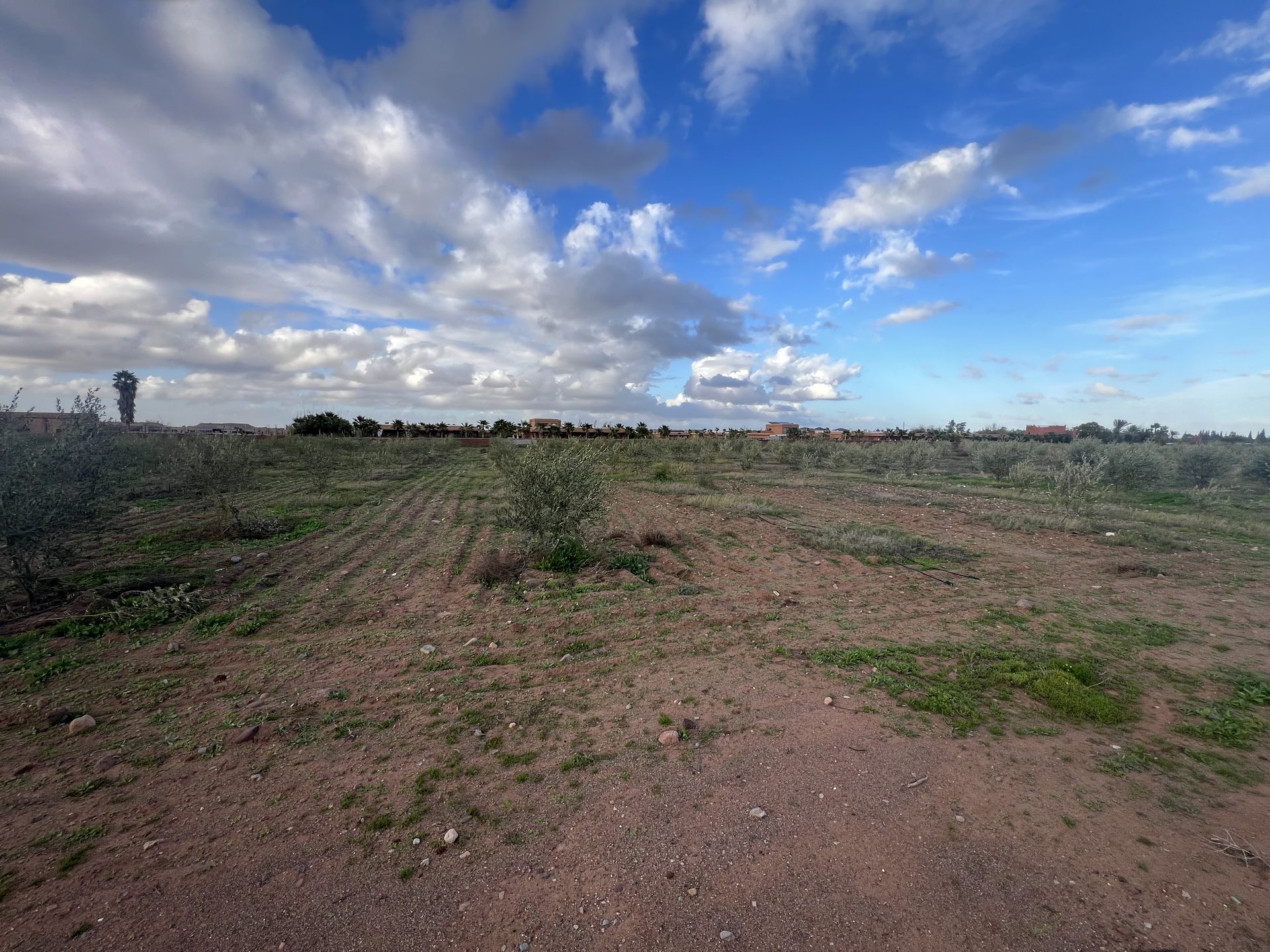 Terrain 1,03 ha zone SD1 à vendre – Route de l'Ourika, Marrakech — miniature 3