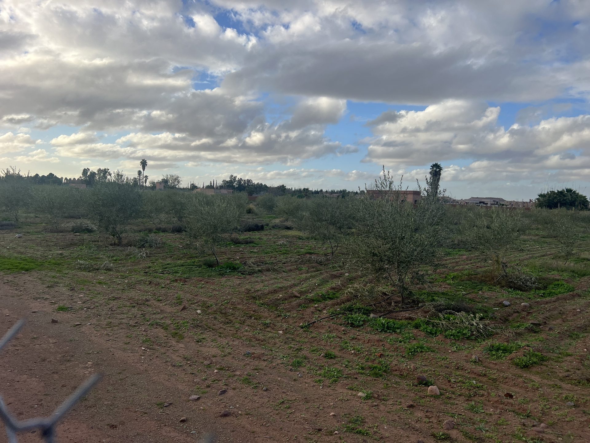 Terrain 1,03 ha zone SD1 à vendre – Route de l'Ourika, Marrakech — miniature 5