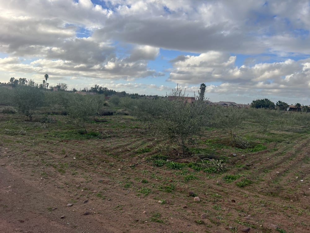 Terrain 1,03 ha zone SD1 à vendre – Route de l'Ourika, Marrakech — photo 6