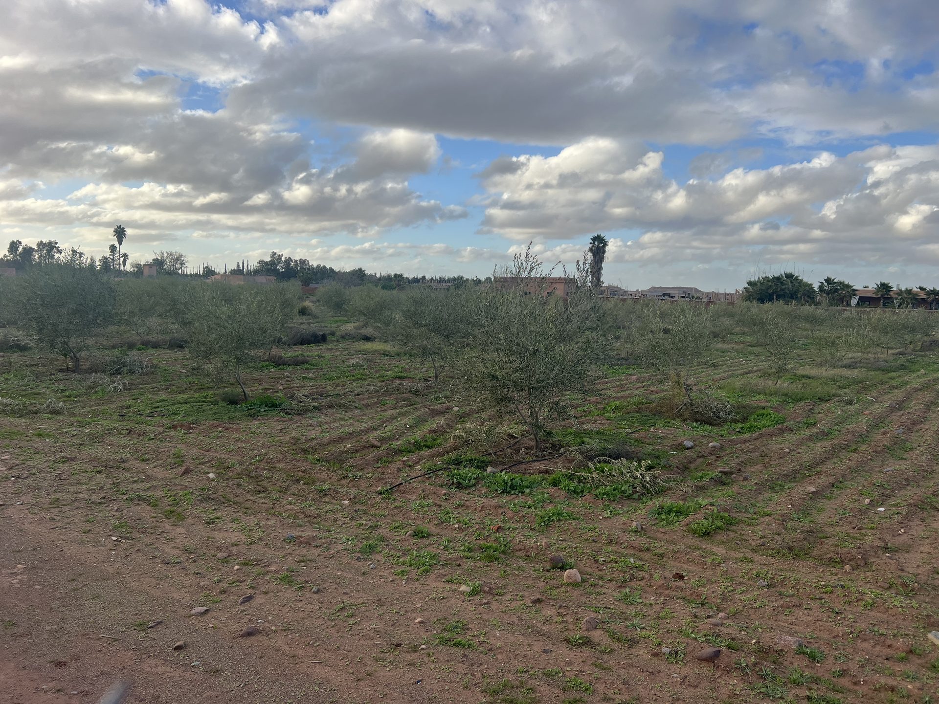 Terrain 1,03 ha zone SD1 à vendre – Route de l'Ourika, Marrakech — miniature 9