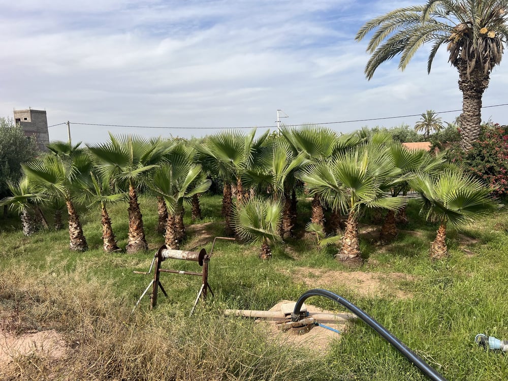 Terrain 1,4 ha clôturé à vendre, Chwiter, Route Ouarzazate, Marrakech — photo 2
