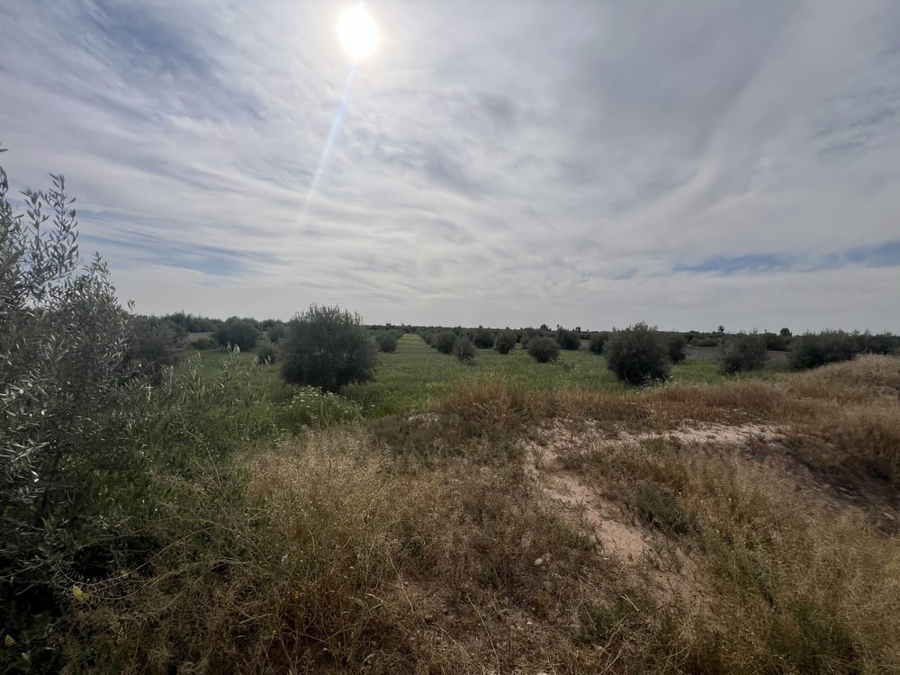 Terrain 1,4 ha clôturé à vendre, Chwiter, Route Ouarzazate, Marrakech — photo 5