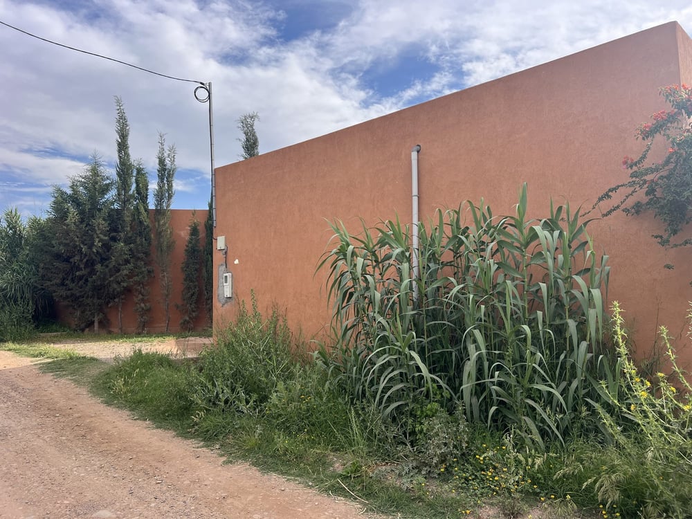 Terrain 1,4 ha clôturé à vendre, Chwiter, Route Ouarzazate, Marrakech — photo 10
