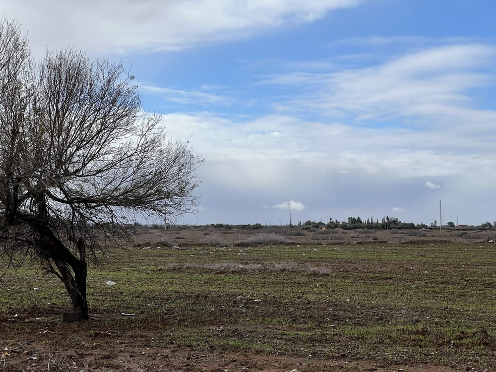 Terrain 26,6 ha à vendre – Route de l'Ourika, Marrakech — photo 4