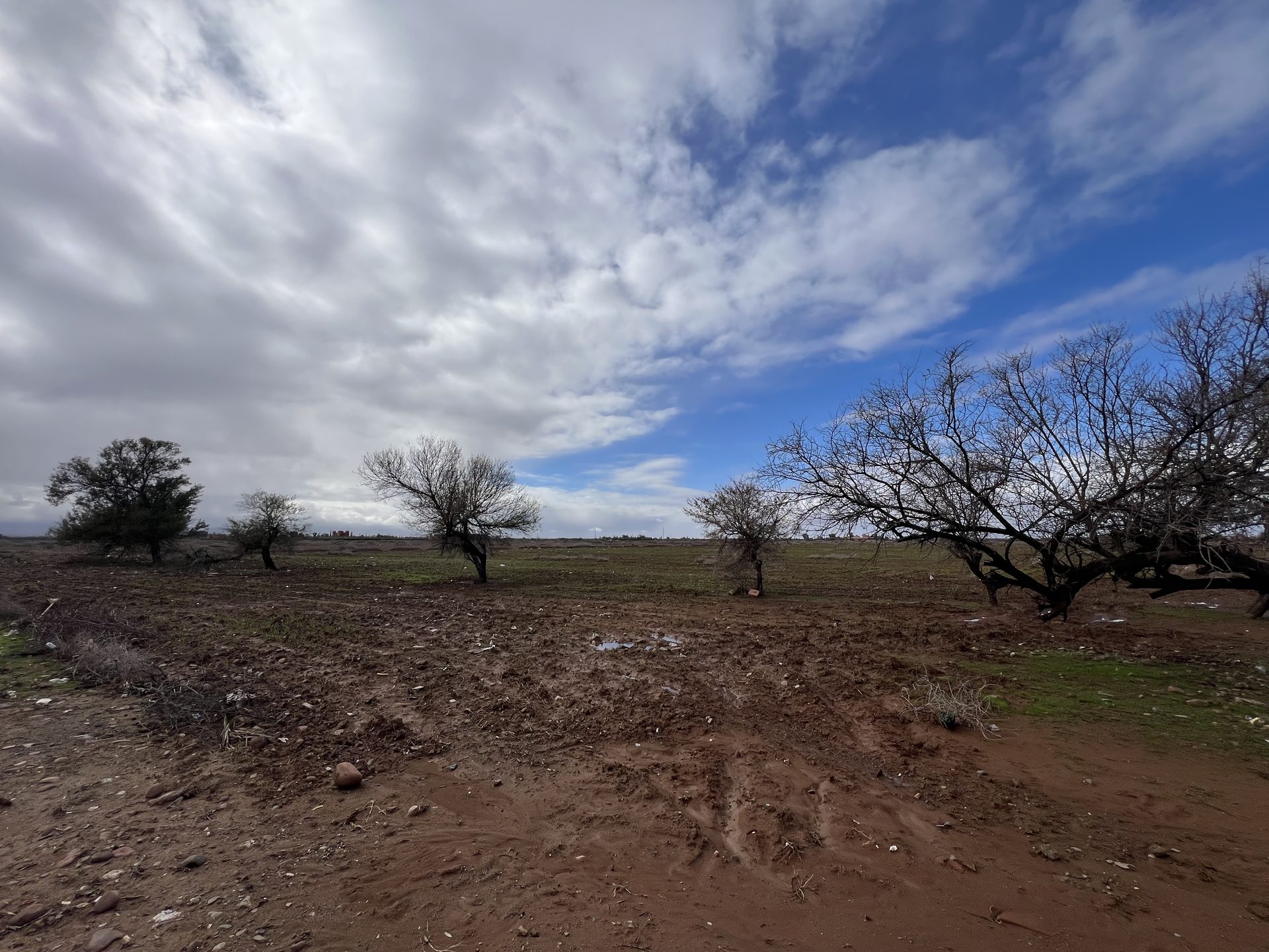 Terrain 26,6 ha à vendre – Route de l'Ourika, Marrakech — miniature 5