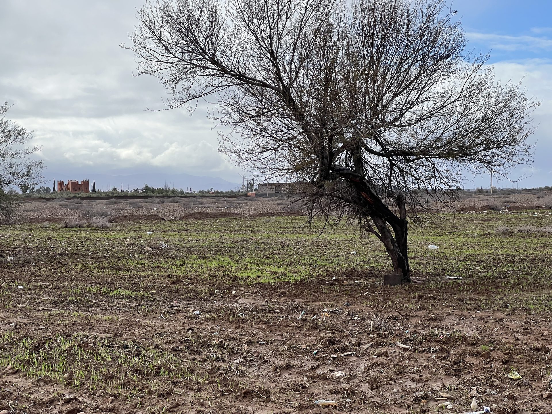 Terrain 26,6 ha à vendre – Route de l'Ourika, Marrakech — miniature 6