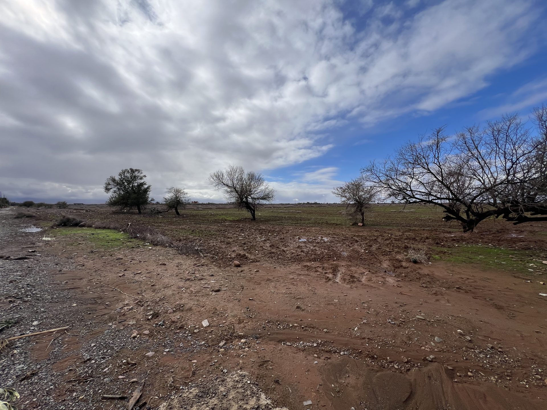 Terrain 26,6 ha à vendre – Route de l'Ourika, Marrakech — miniature 7