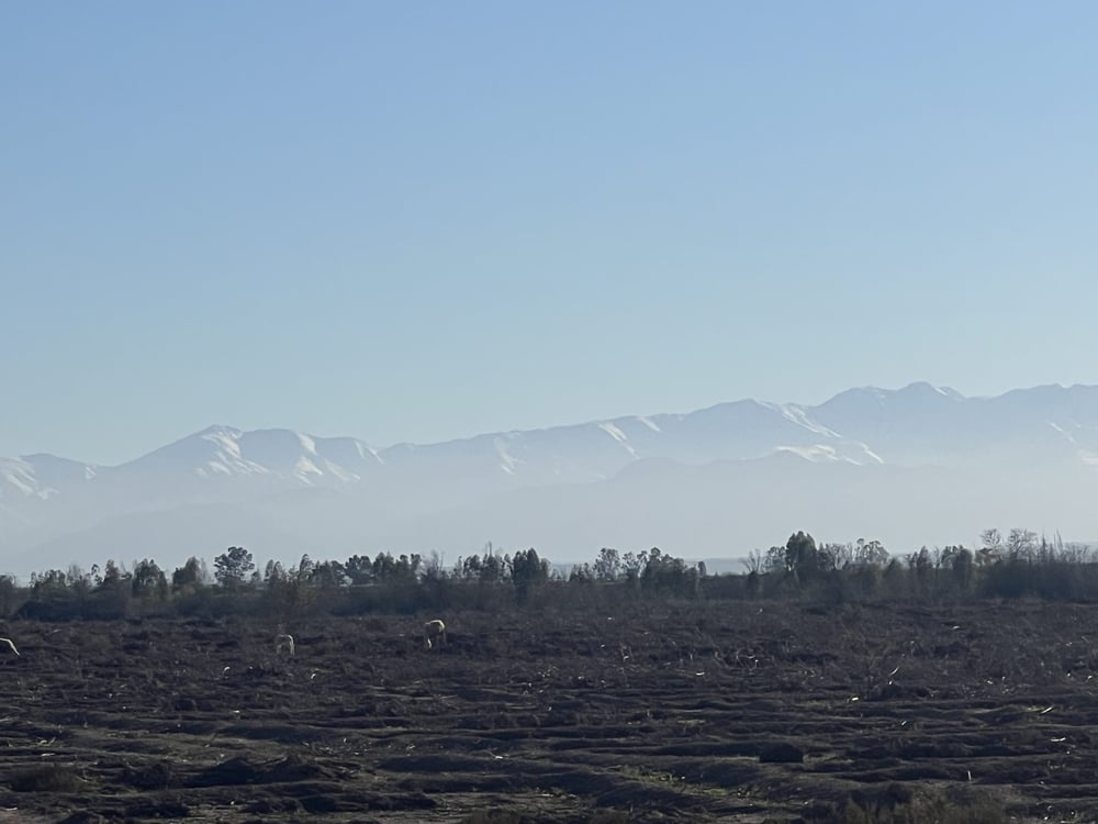 Terrain 27 ha à vendre Souihla, Marrakech – Puits & Maison — photo 3