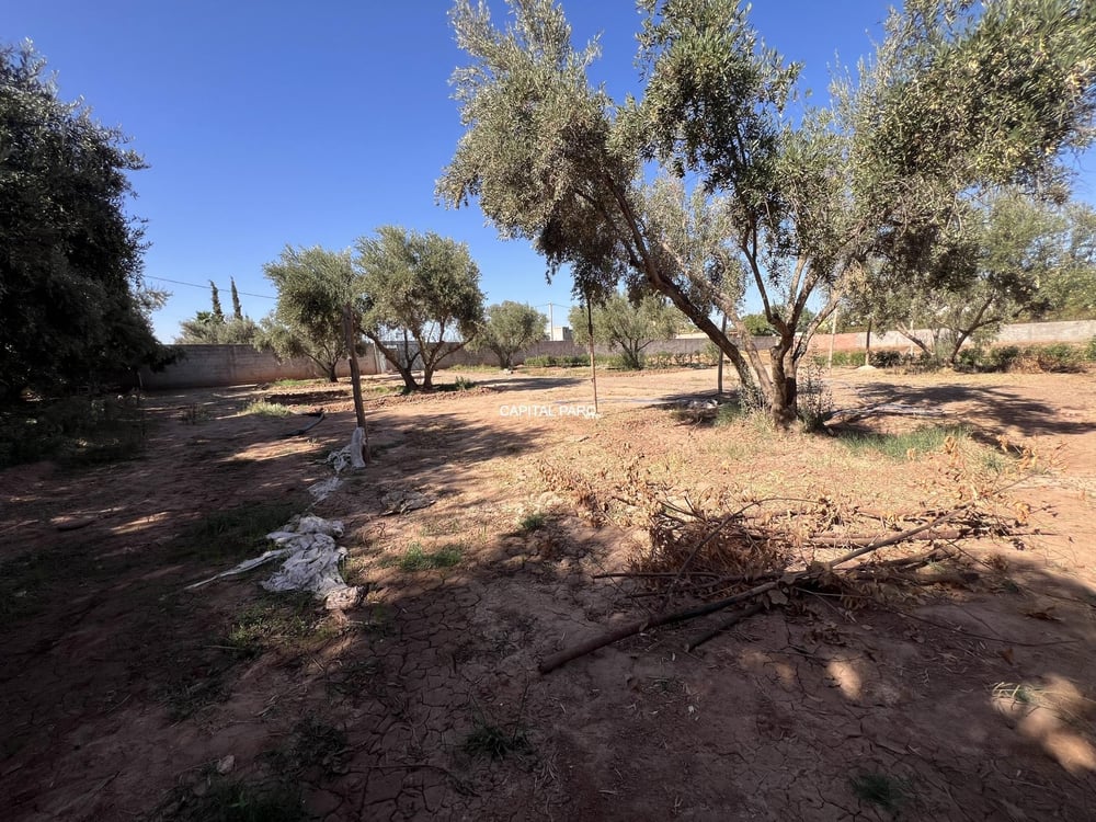 Terrain 900 m² ( melkia )  à vendre, Route de Fès, Marrakech — photo 2