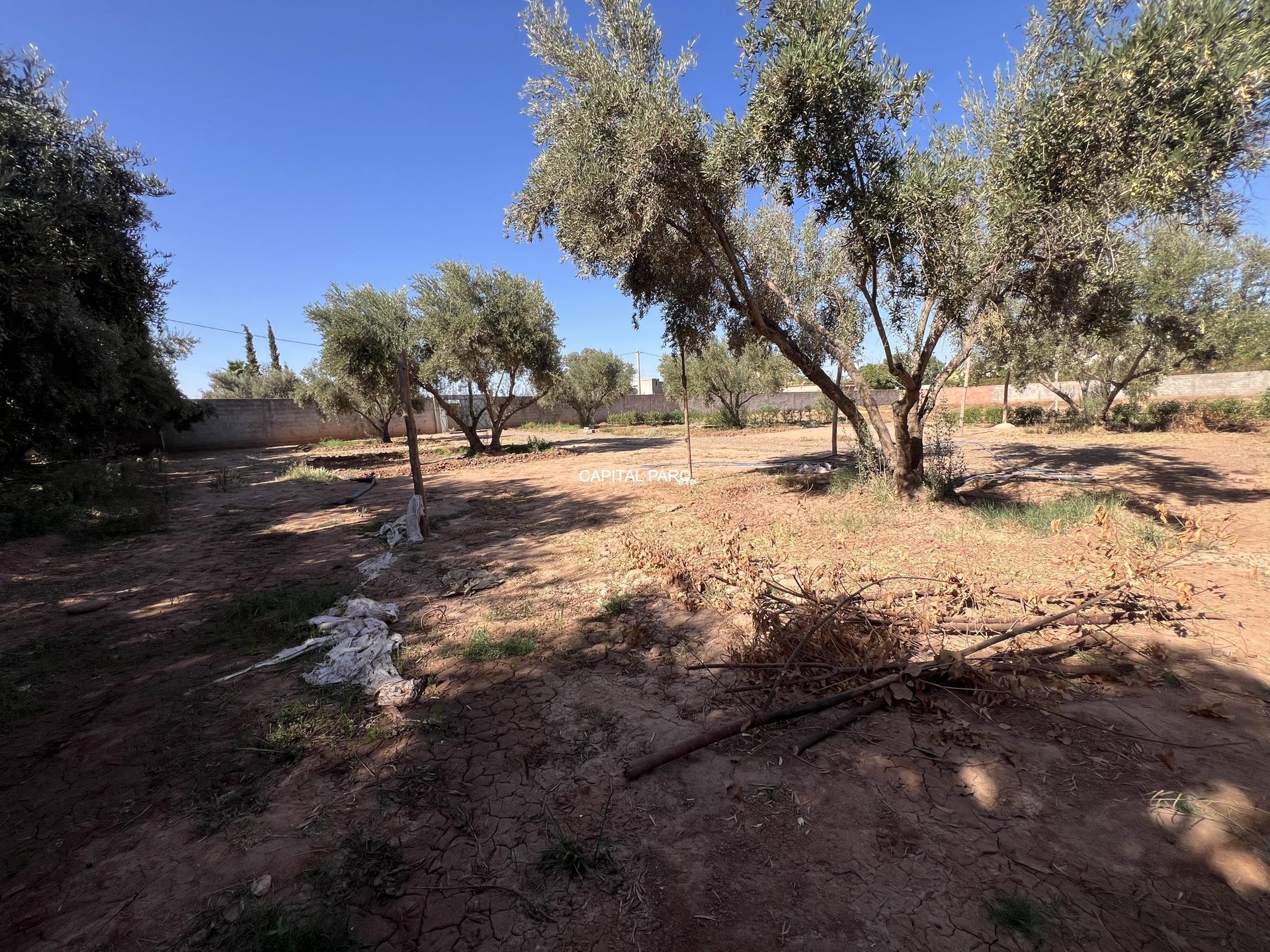 Terrain 900 m² ( melkia )  à vendre, Route de Fès, Marrakech — miniature 2