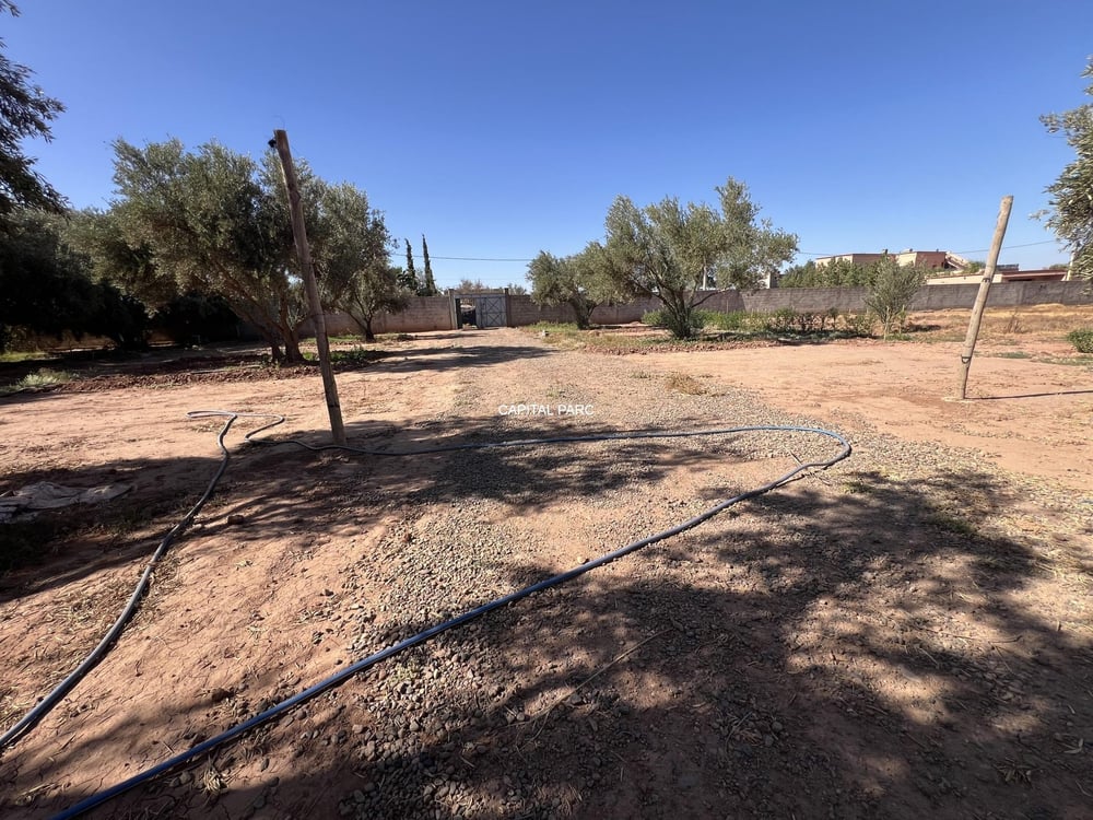 Terrain 900 m² ( melkia )  à vendre, Route de Fès, Marrakech — photo 3