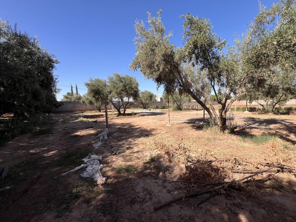 Terrain 900 m² ( melkia )  à vendre, Route de Fès, Marrakech — photo 6