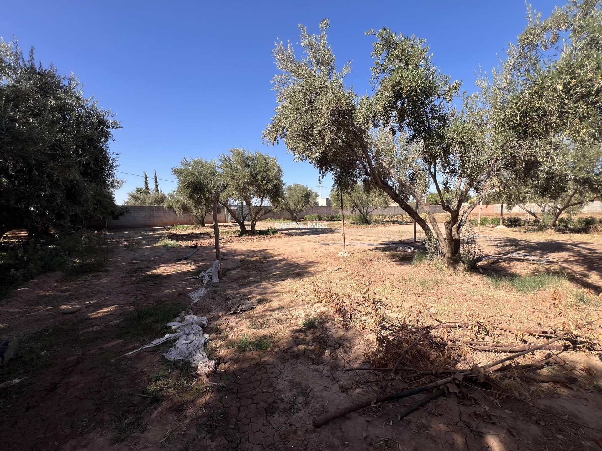 Terrain 900 m² ( melkia )  à vendre, Route de Fès, Marrakech — miniature 6