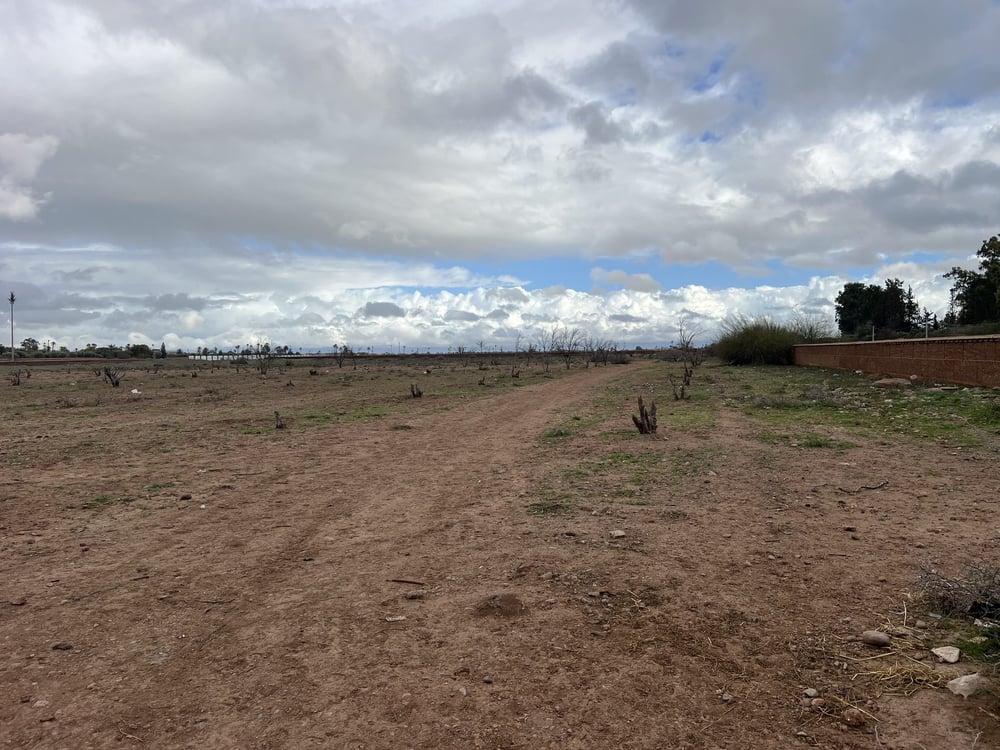Terrain 10 ha à vendre, Route Ouarzazate, Marrakech — photo 5