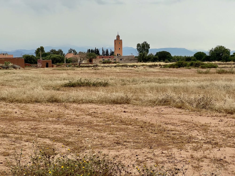 Terrain agricole constructible 2 ha à vendre, Tamazouzt, Marrakech — photo 4