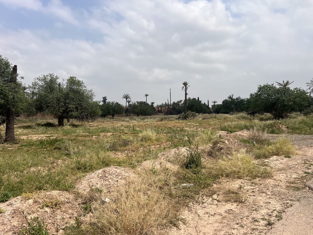 Terrain 1 ha à vendre, Circuit Palmeraie, Marrakech — photo 4