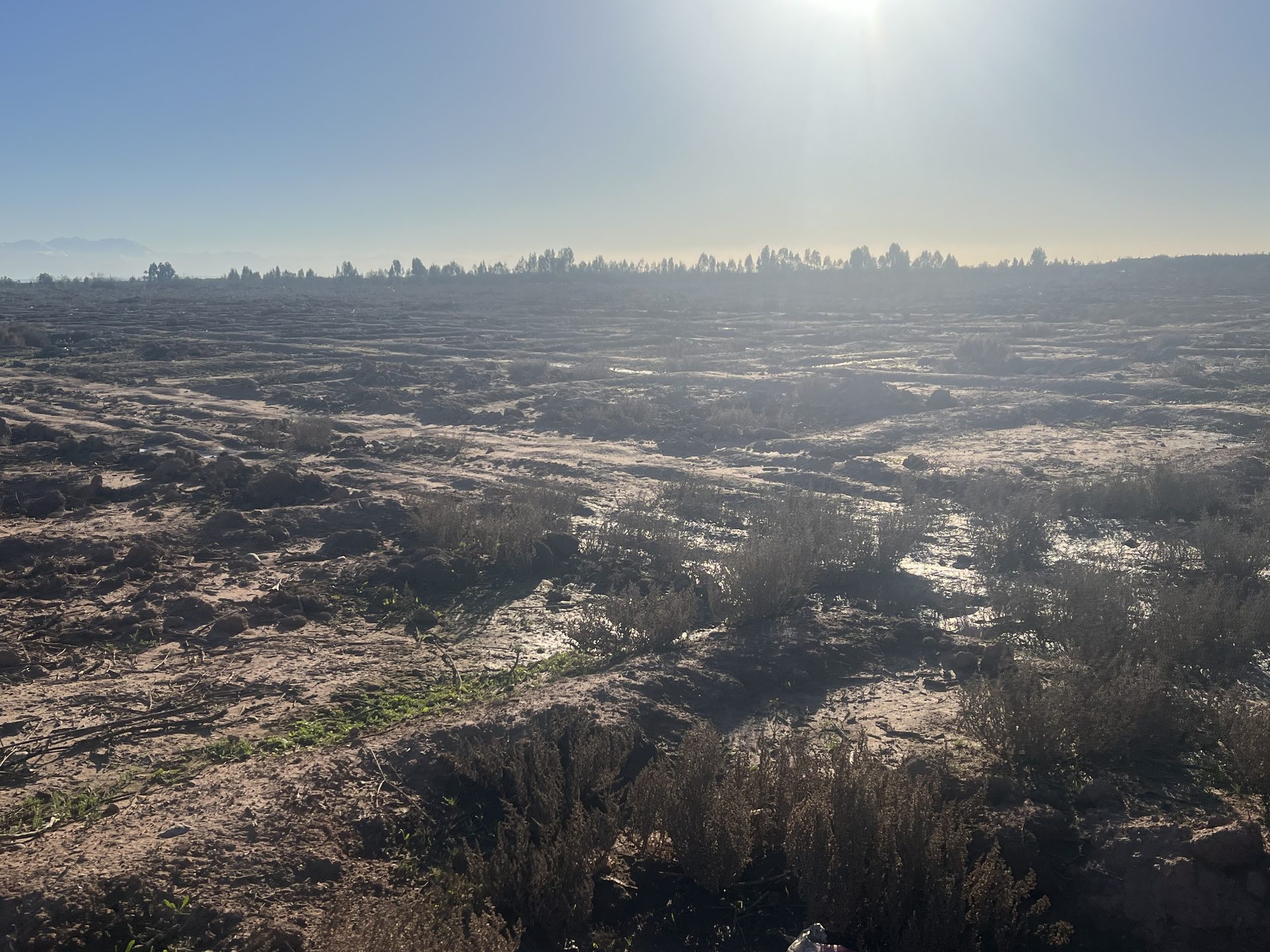Terrain 2,4 ha constructible à vendre, Souihla, Marrakech — miniature 7