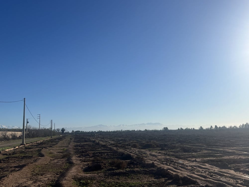 Terrain 2,4 ha constructible à vendre, Souihla, Marrakech — photo 8