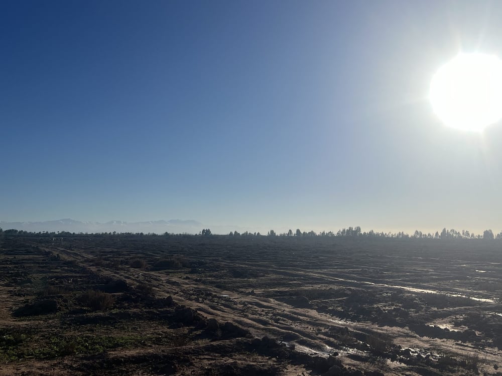 Terrain 2,4 ha constructible à vendre, Souihla, Marrakech — photo 10