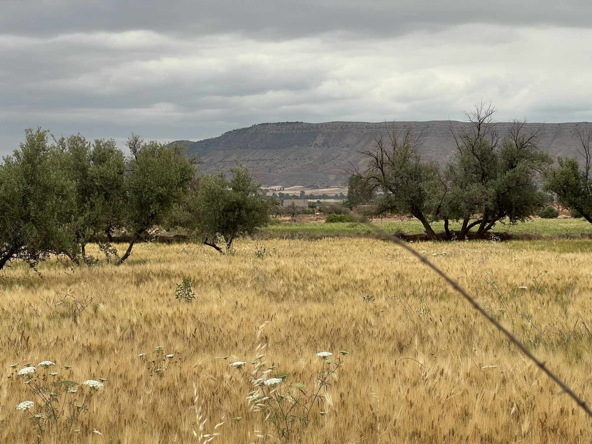 Terrain 3000 m² à vendre Ait Faska, Marrakech — Terrain, Ait Faska