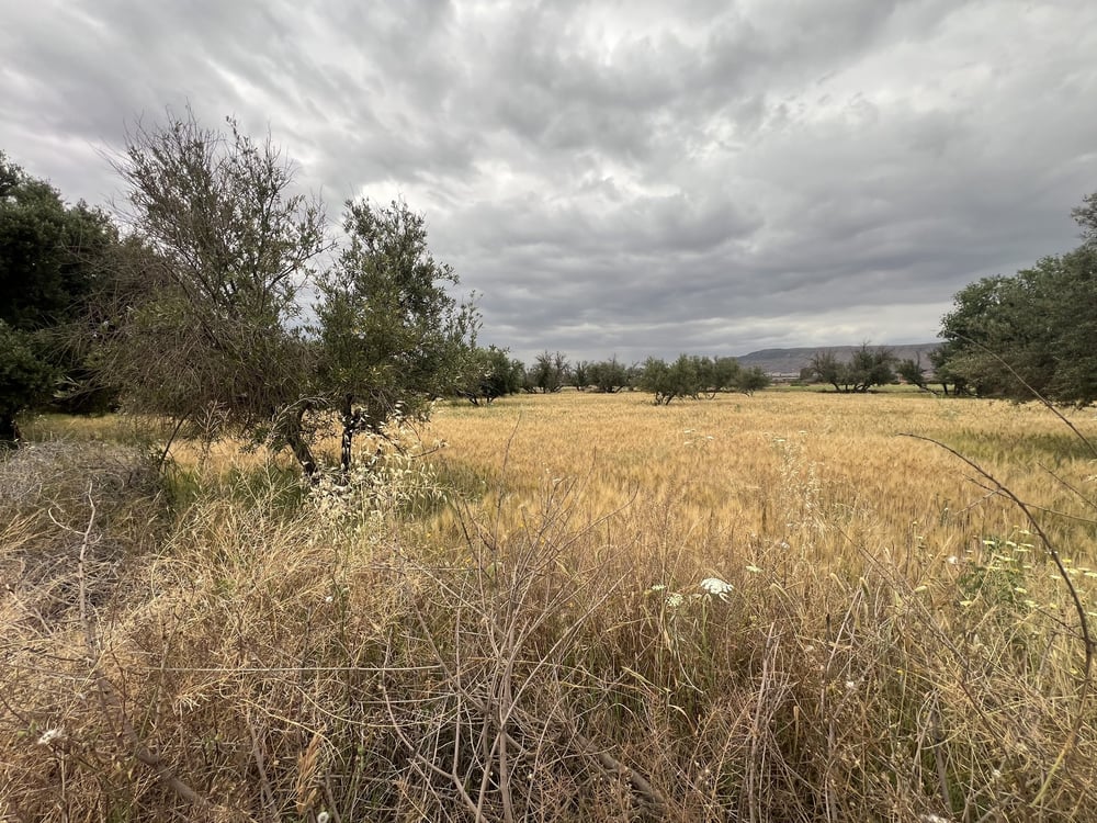 Terrain 3000 m² à vendre Ait Faska, Marrakech — photo 4