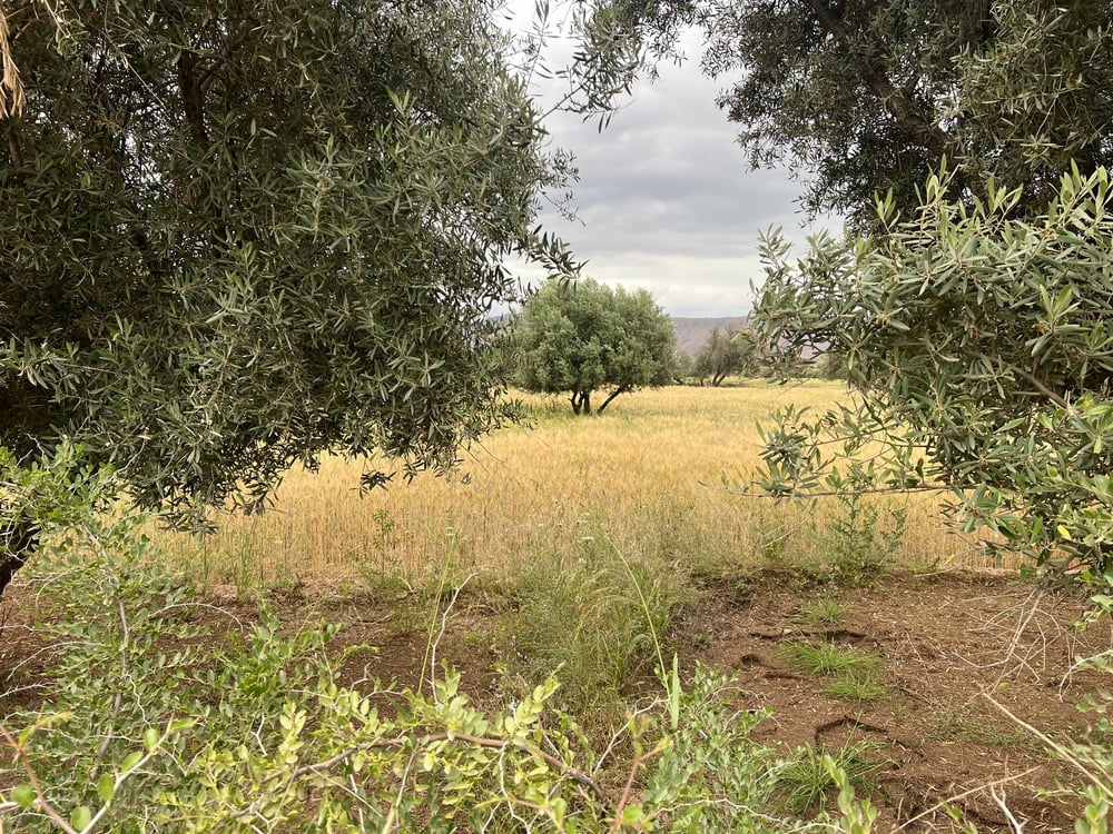Terrain 3000 m² à vendre Ait Faska, Marrakech — photo 9
