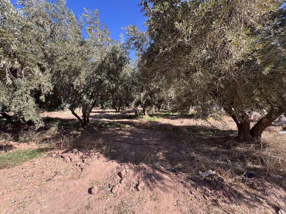 Terrain zone villa D3 à vendre, 2,5 ha, Route Amizmiz, Marrakech — photo 2
