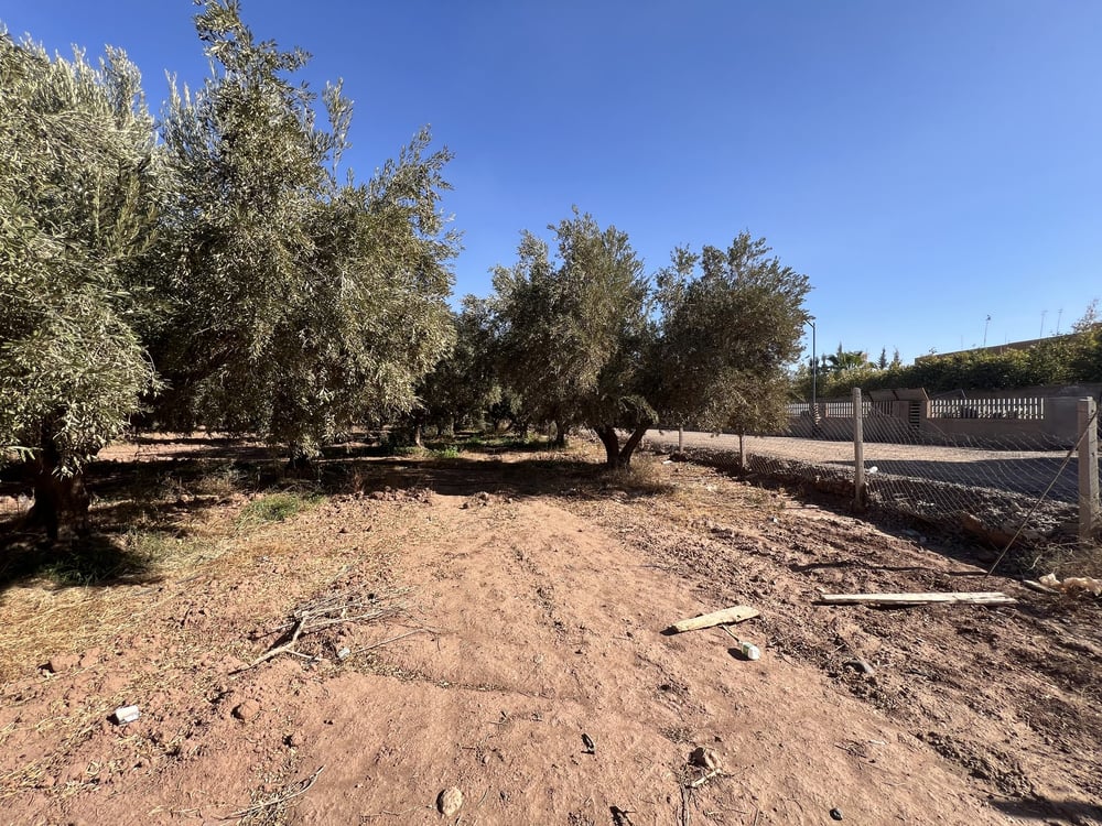 Terrain zone villa D3 à vendre, 2,5 ha, Route Amizmiz, Marrakech — photo 3
