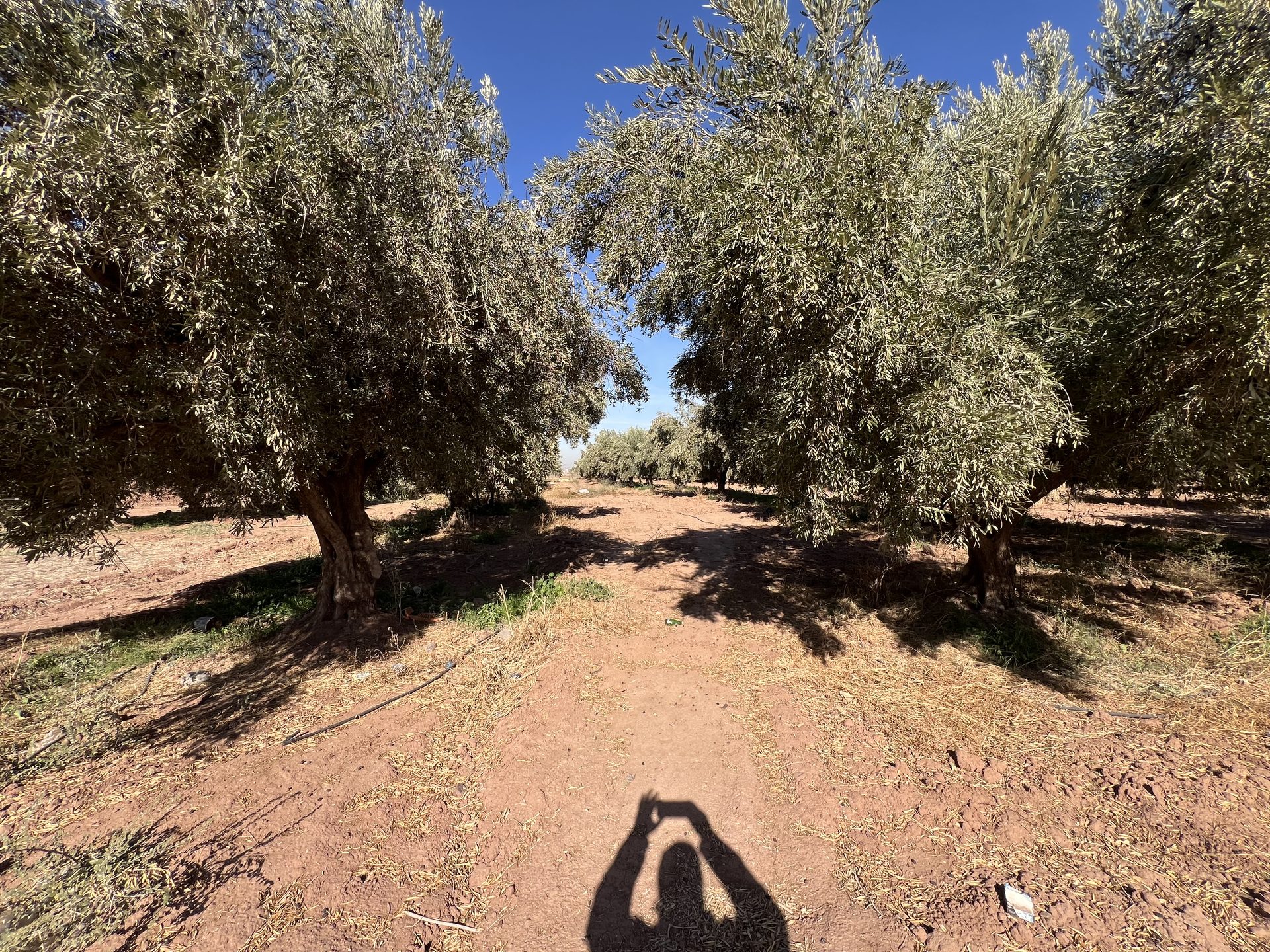 Terrain zone villa D3 à vendre, 2,5 ha, Route Amizmiz, Marrakech — miniature 4