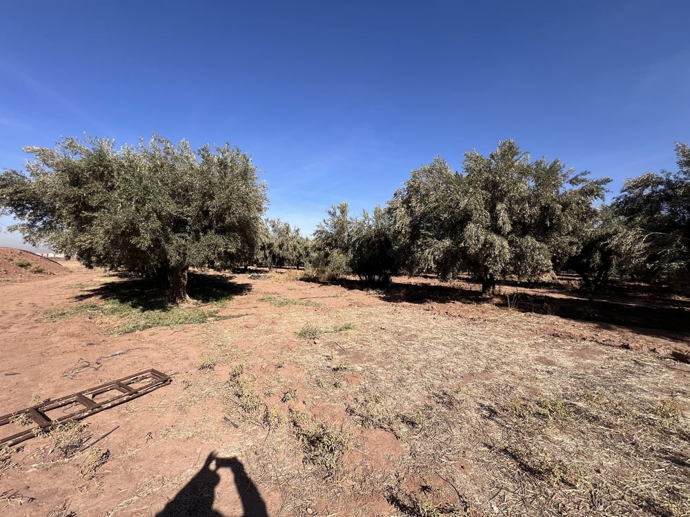 Terrain zone villa D3 à vendre, 2,5 ha, Route Amizmiz, Marrakech — photo 5