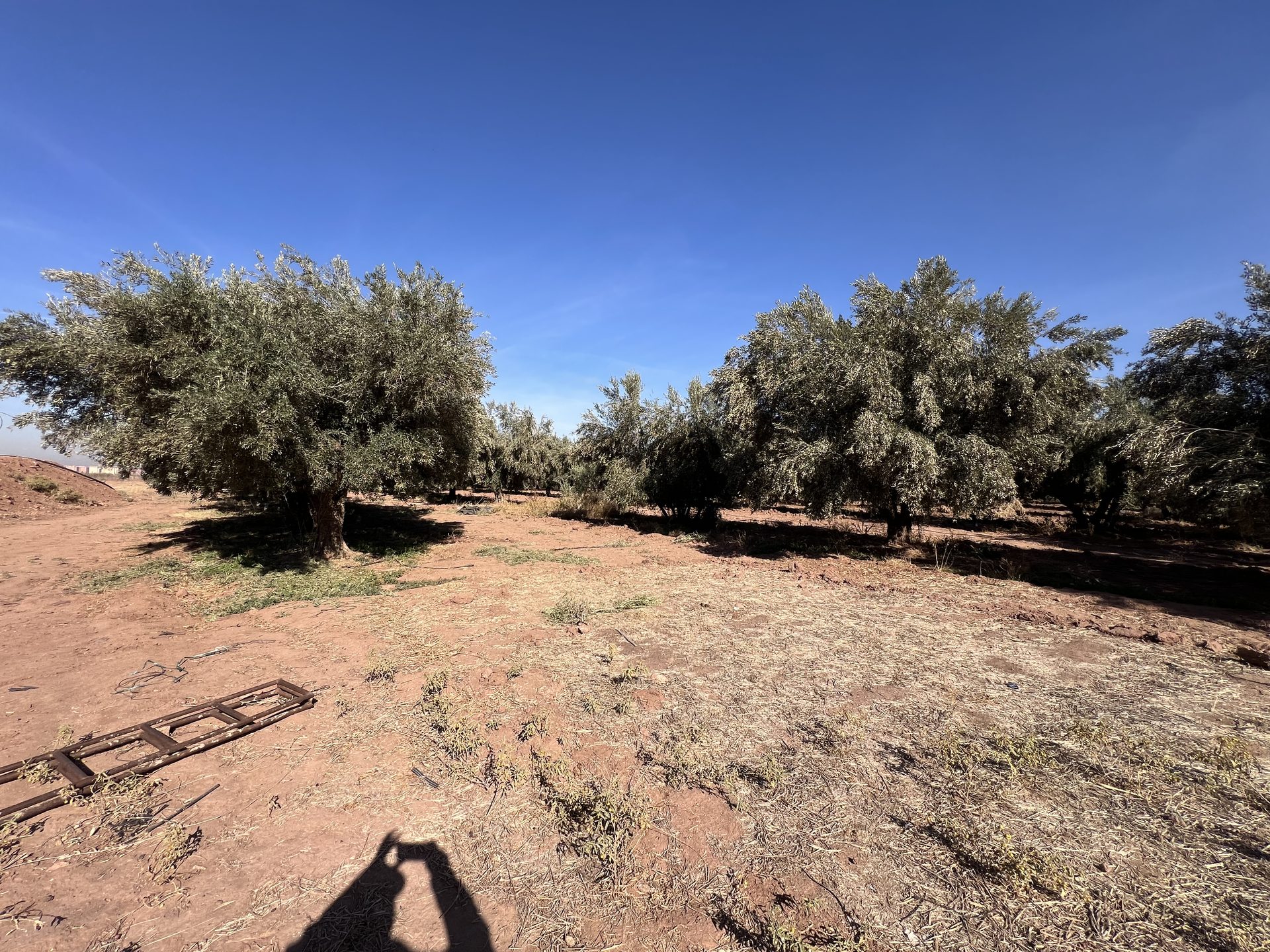 Terrain zone villa D3 à vendre, 2,5 ha, Route Amizmiz, Marrakech — miniature 5