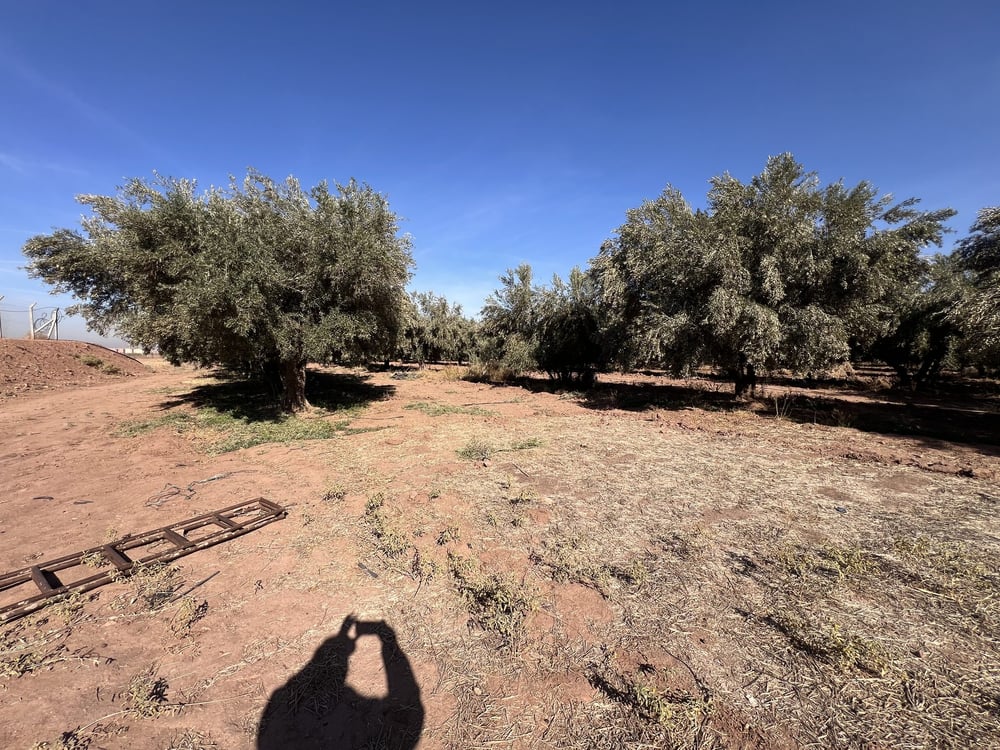 Terrain zone villa D3 à vendre, 2,5 ha, Route Amizmiz, Marrakech — photo 6