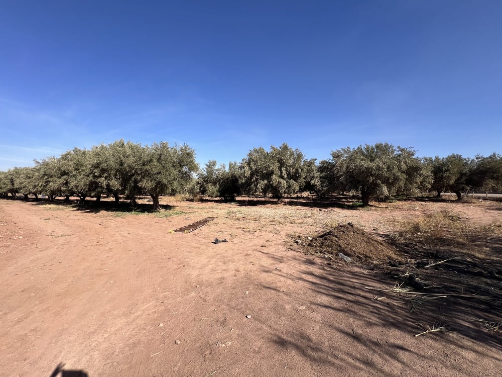 Terrain zone villa D3 à vendre, 2,5 ha, Route Amizmiz, Marrakech — photo 7