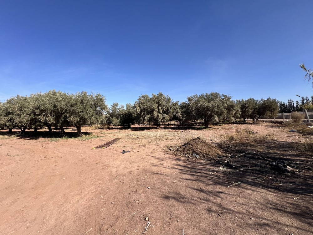 Terrain zone villa D3 à vendre, 2,5 ha, Route Amizmiz, Marrakech — photo 8