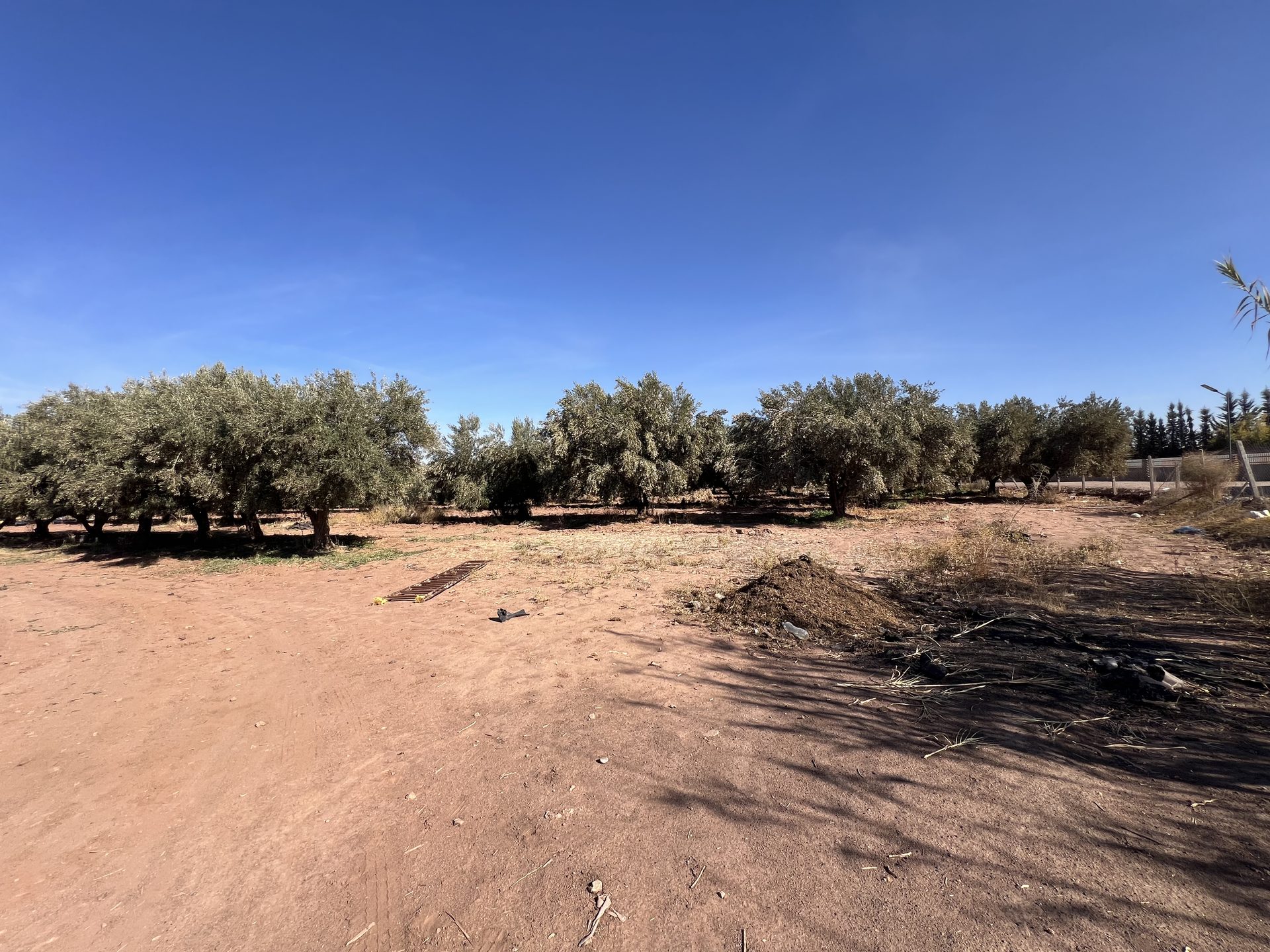 Terrain zone villa D3 à vendre, 2,5 ha, Route Amizmiz, Marrakech — miniature 8