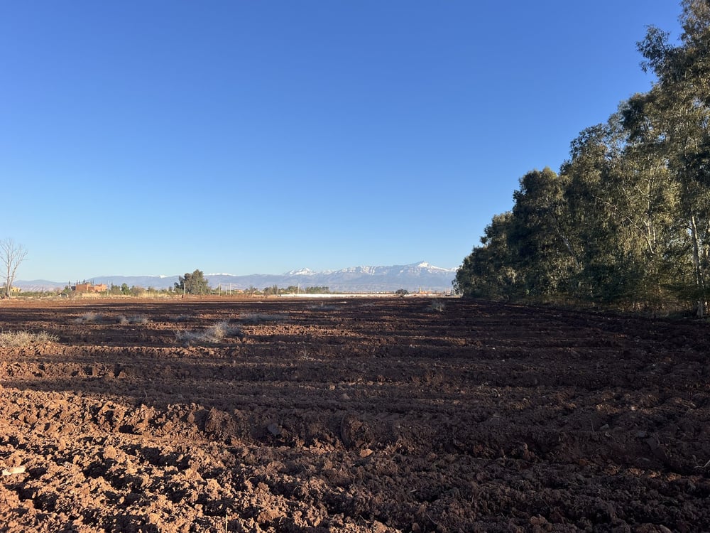 Terrain à vendre 4,7 ha zone villa SD1, route Ourika, Marrakech — photo 2