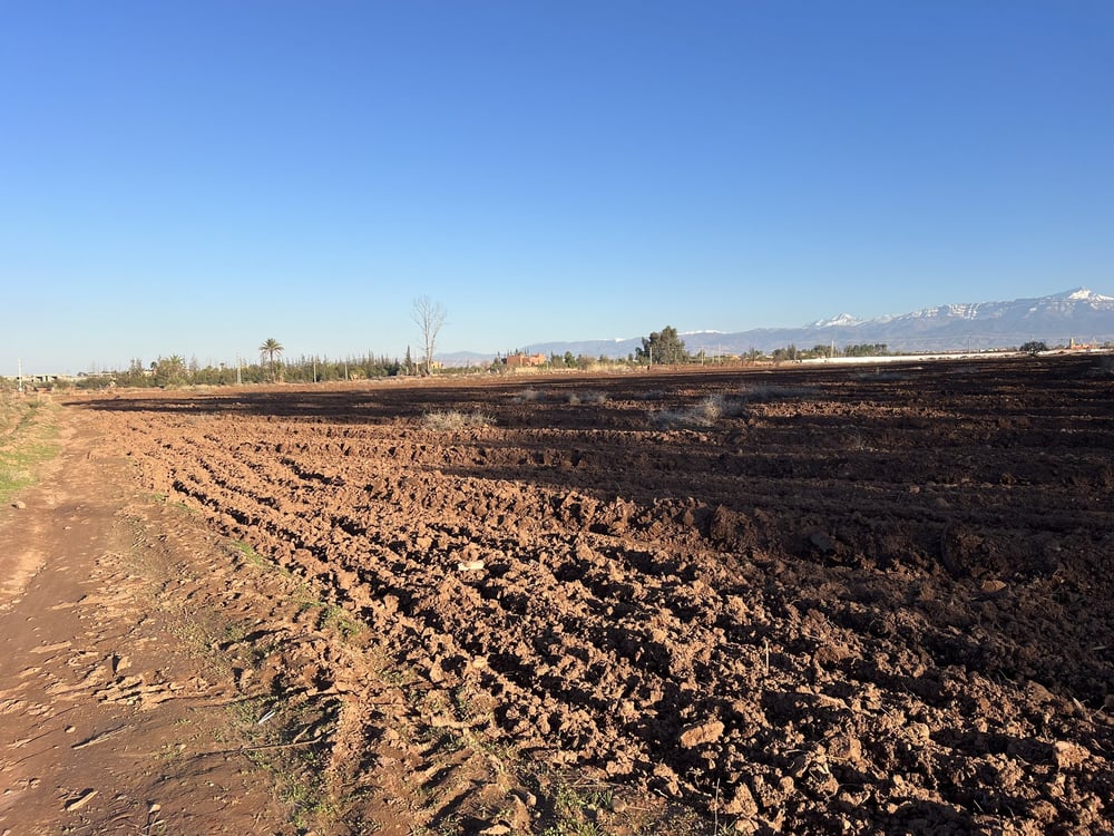 Terrain à vendre 4,7 ha zone villa SD1, route Ourika, Marrakech — photo 4