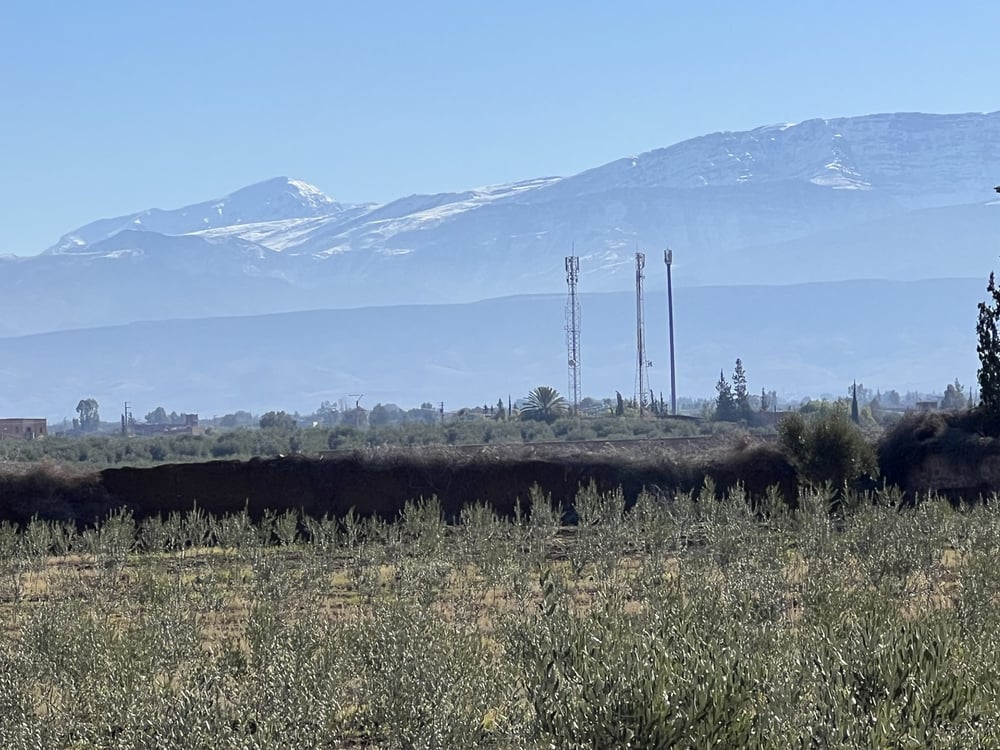 Villa 500 m² à vendre, 3,5 ha, Route Ourika Marrakech — photo 4