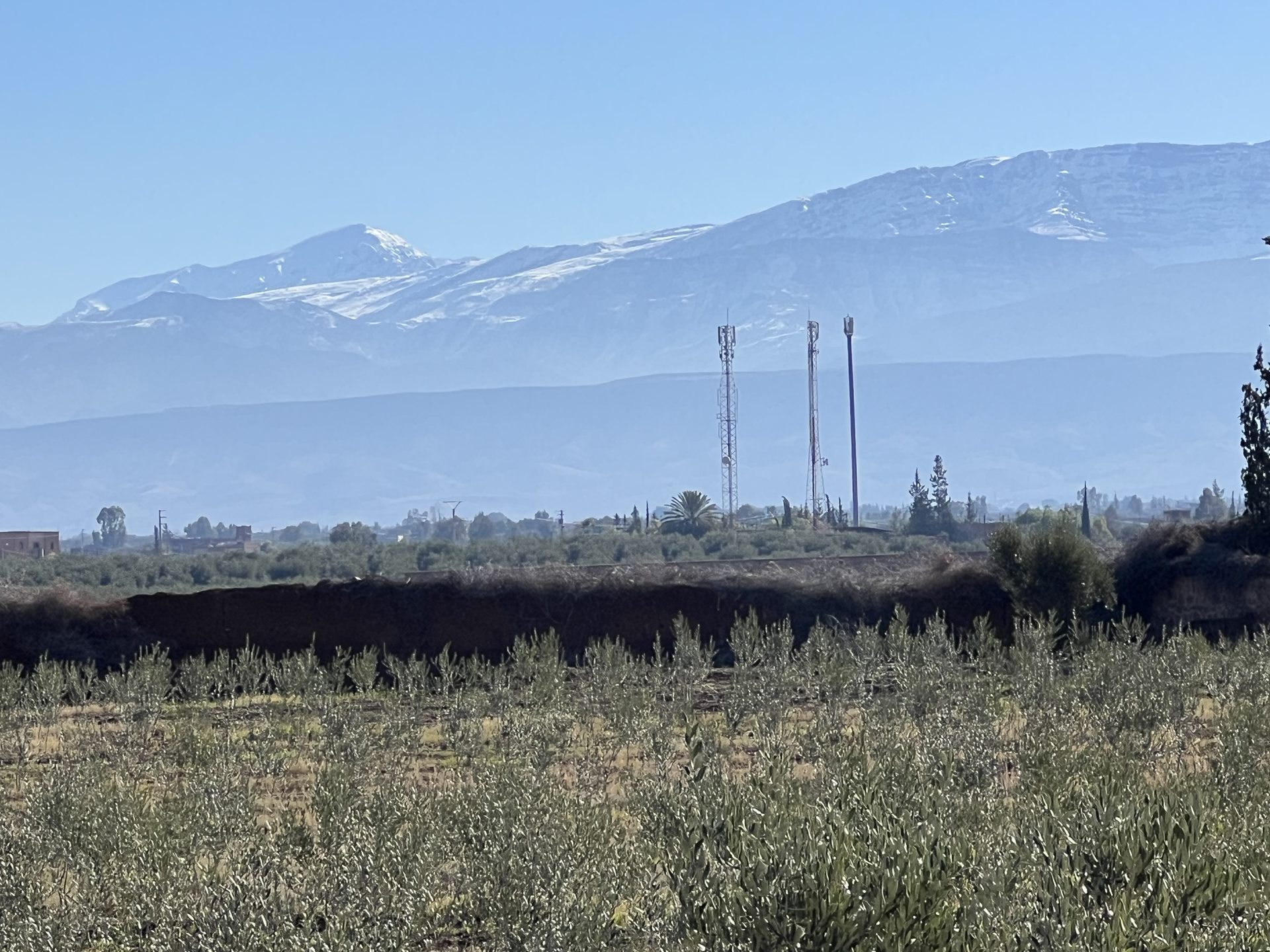 Villa 500 m² à vendre, 3,5 ha, Route Ourika Marrakech — miniature 4