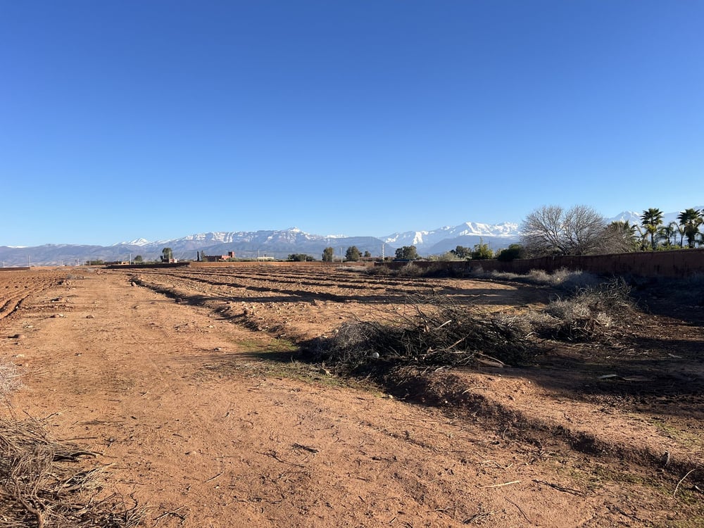 Terrain 6,3 ha à vendre, route Ourika, Sidi Abdallah Ghiat — photo 3