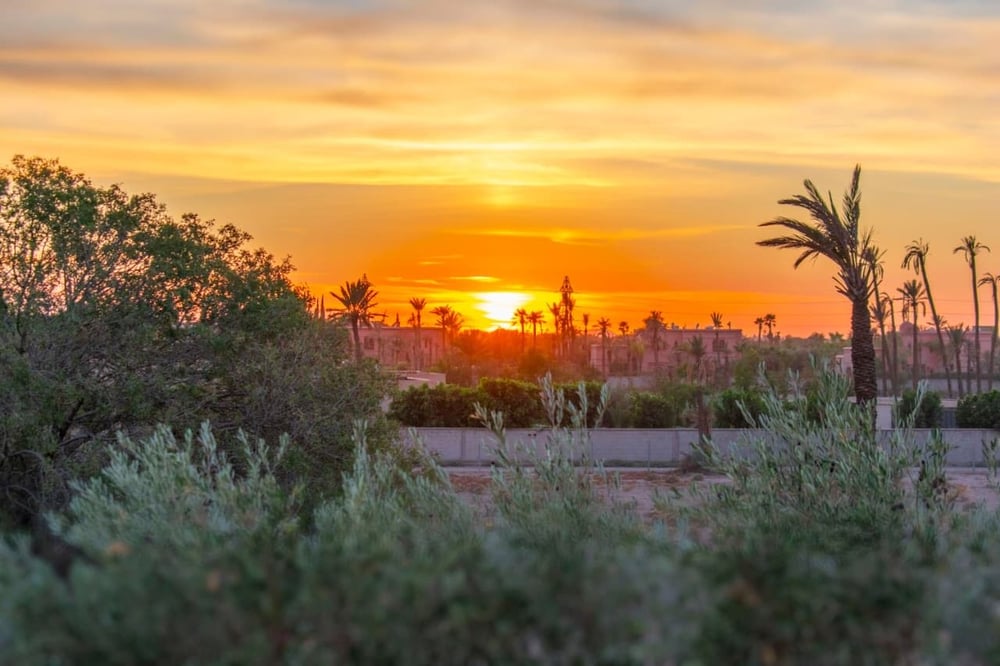 Villa contemporaine 500 m² à vendre, Bab Atlas, Marrakech — photo 16