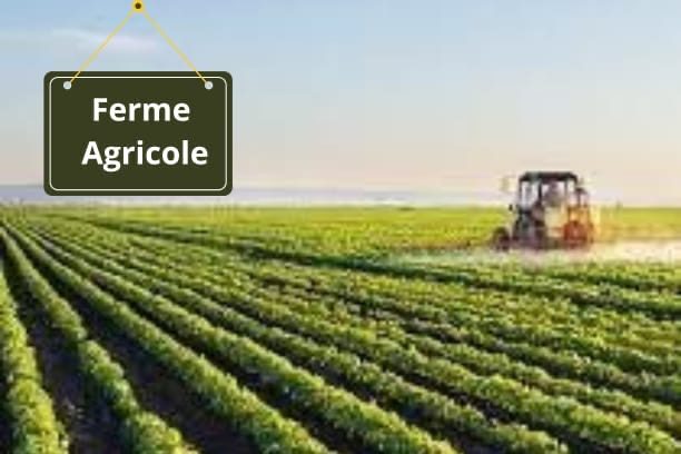 Ferme agricole 10 ha à vendre Chichaoua — Ferme, Chichaoua