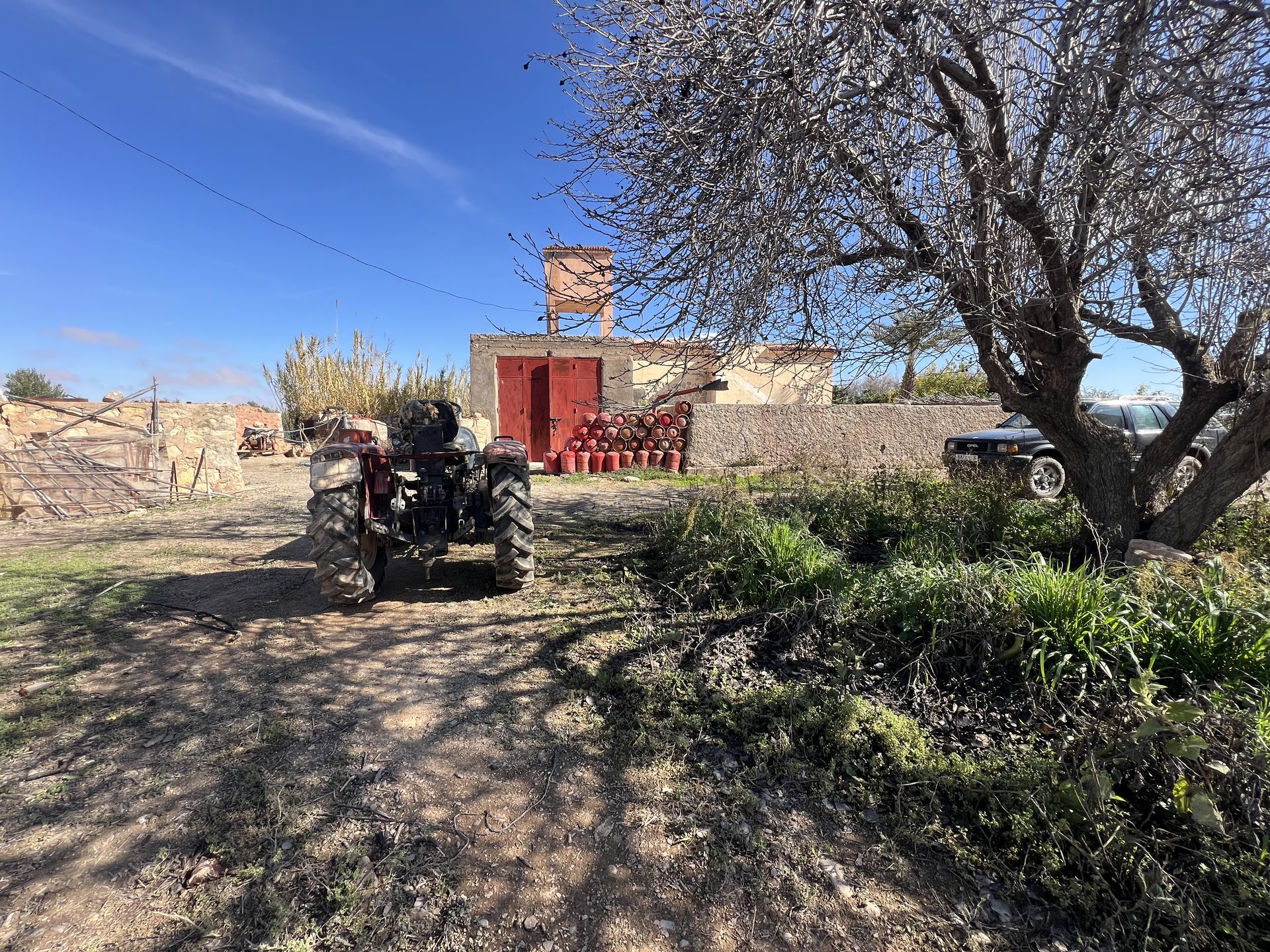Ferme agricole 10 ha à vendre Chichaoua — miniature 15