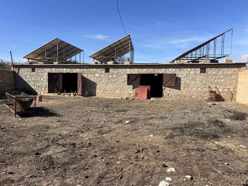 Ferme agricole 10 ha à vendre Chichaoua — photo 17