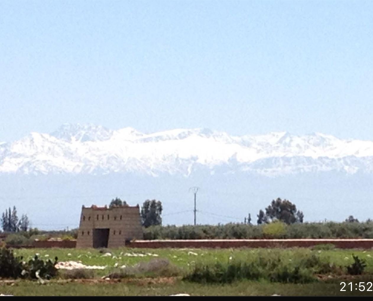 Ferme agricole 3,6 ha à vendre Route de Fès, Marrakech — miniature 2