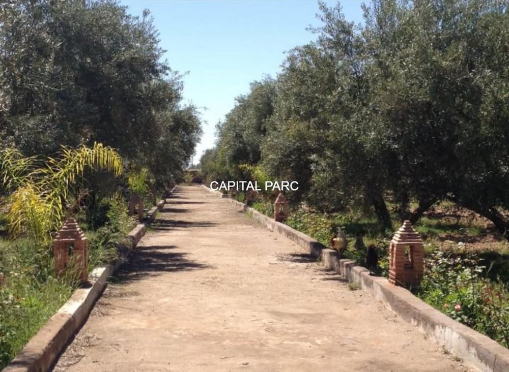 Ferme agricole 3,6 ha à vendre Route de Fès, Marrakech — photo 12