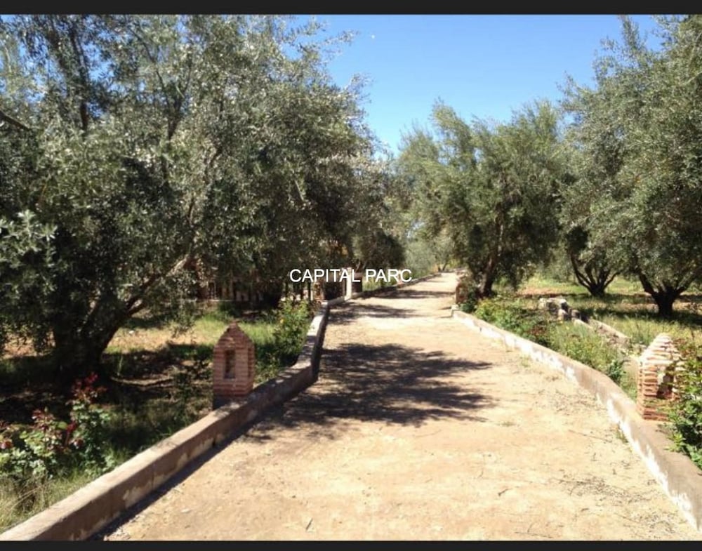 Ferme agricole 3,6 ha à vendre Route de Fès, Marrakech — photo 13