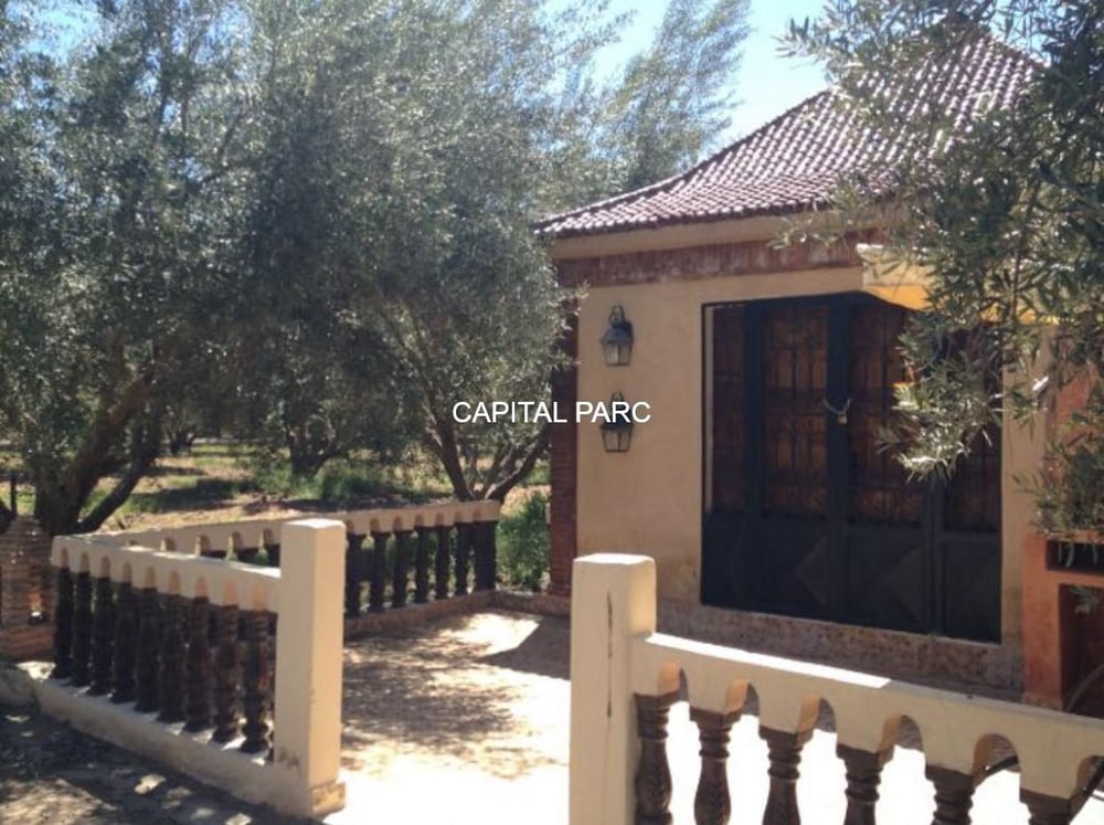 Ferme agricole 3,6 ha à vendre Route de Fès, Marrakech — photo 18