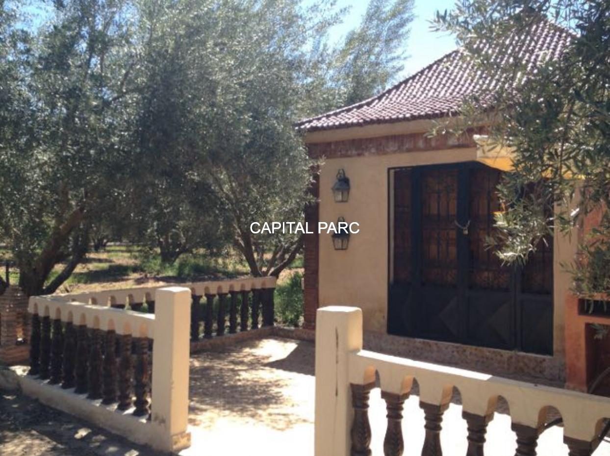 Ferme agricole 3,6 ha à vendre Route de Fès, Marrakech — miniature 18