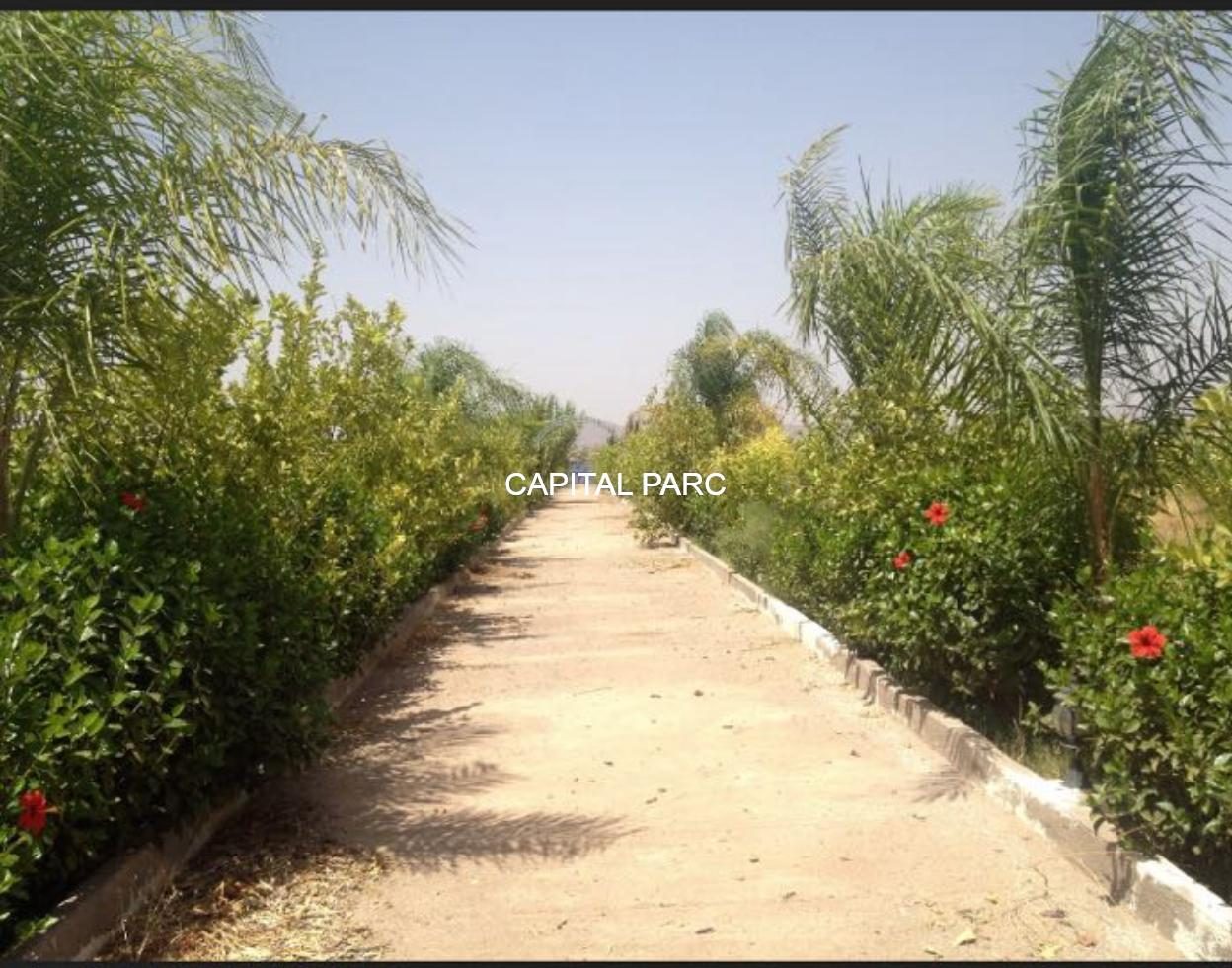 Ferme agricole 3,6 ha à vendre Route de Fès, Marrakech — miniature 3